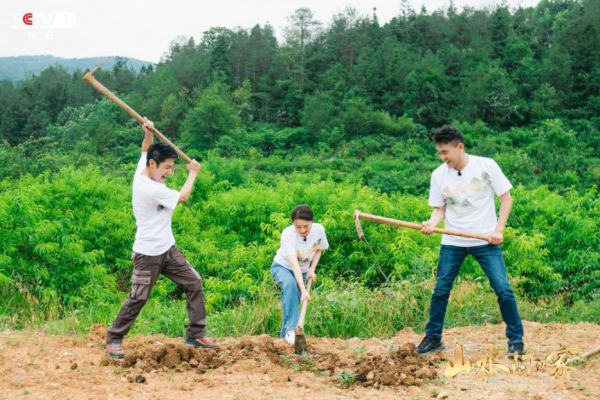 撒贝宁、朱广权带队！《山水间的家》解锁和美乡村蝶变密码(图4)